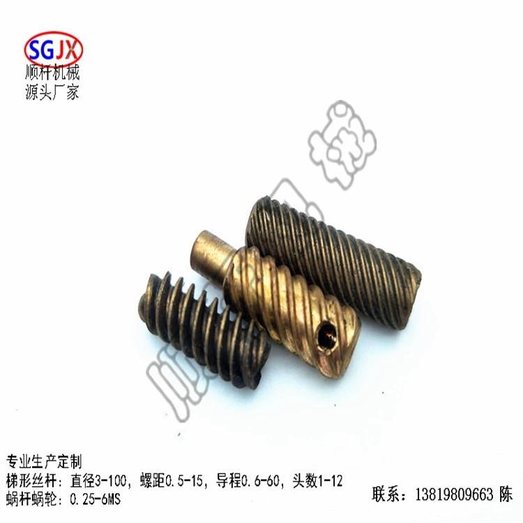 廠家生（shēng）產加工 電機銅蝸杆 中小模（mó）數漸（jiàn）開線馬達軸（zhóu）蝸杆 單頭（tóu）雙頭多頭